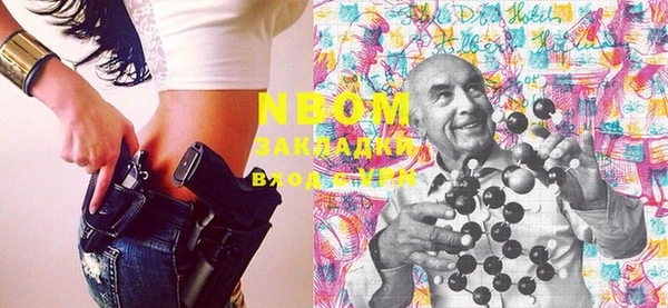 шишки Алексин