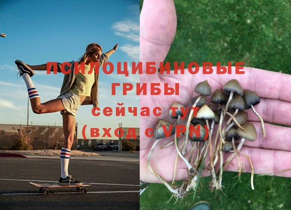 стафф Абдулино