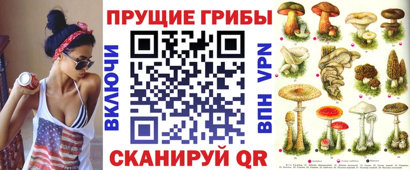 как найти закладки  Котельнич  Псилоцибиновые грибы Psilocybine cubensis 